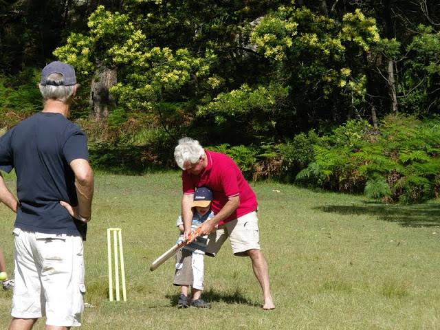 Cricket