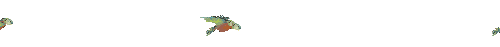 Flying Parrots