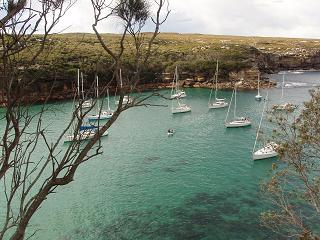 Wattamola