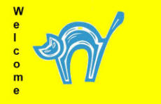 Trim Flag