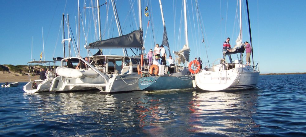 Whale Watch 2005 040