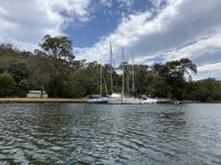 IMG_5292 Medium