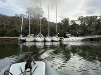 IMG_5477 Medium