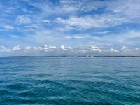 IMG_5493